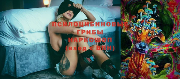 экстази Богданович