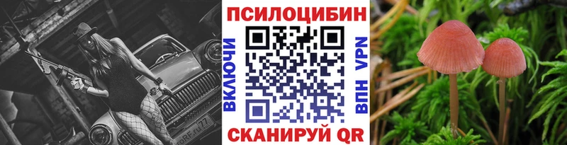 MEGA ссылки  где купить наркоту  Жуковский  площадка наркотические препараты  Галлюциногенные грибы GOLDEN TEACHER 